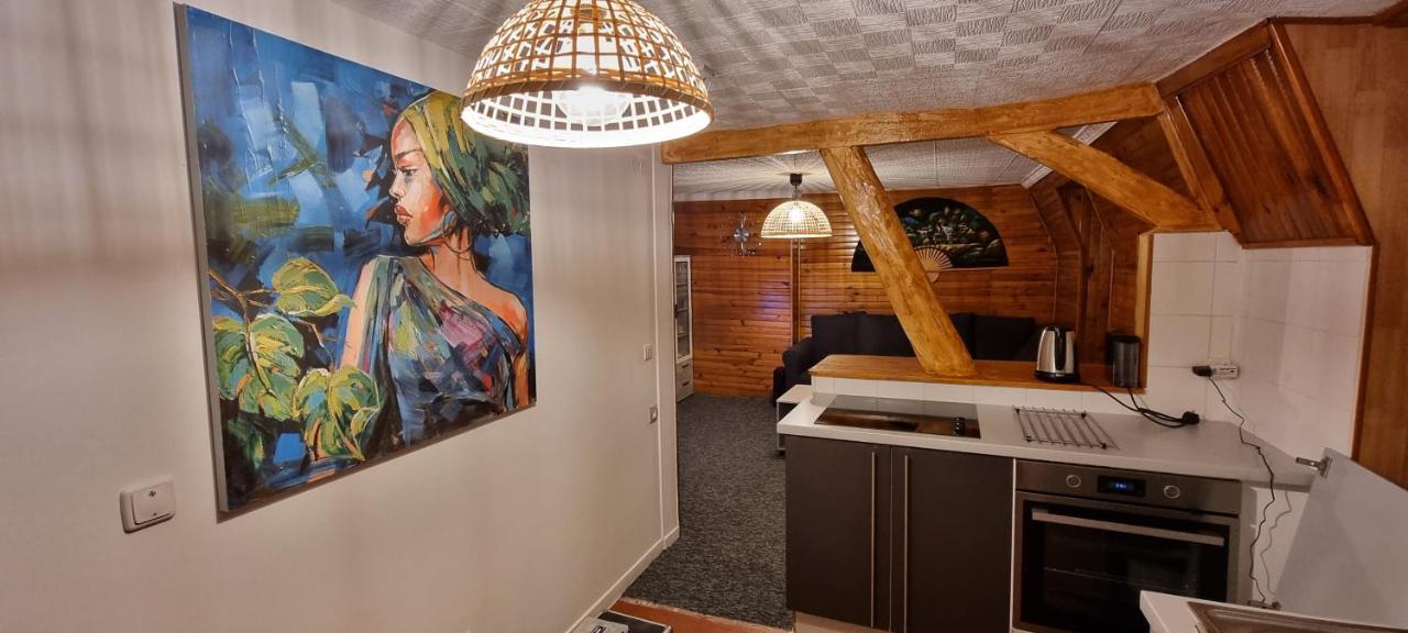 Chambre Privee Numero 1 Dans Un Superbe Appartement En Colocation Montataire ภายนอก รูปภาพ